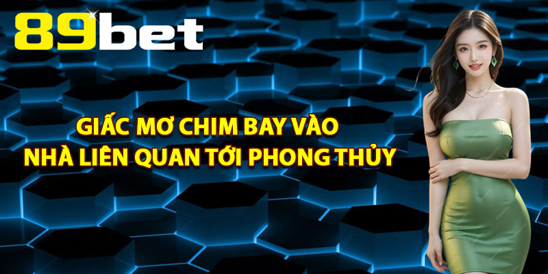 Giấc Mơ Chim Bay Vào Nhà Liên Quan Tới Phong Thủy