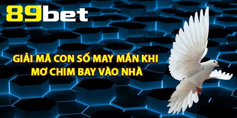 Giải Mã Con Số May Mắn Khi Mơ Chim Bay Vào Nhà